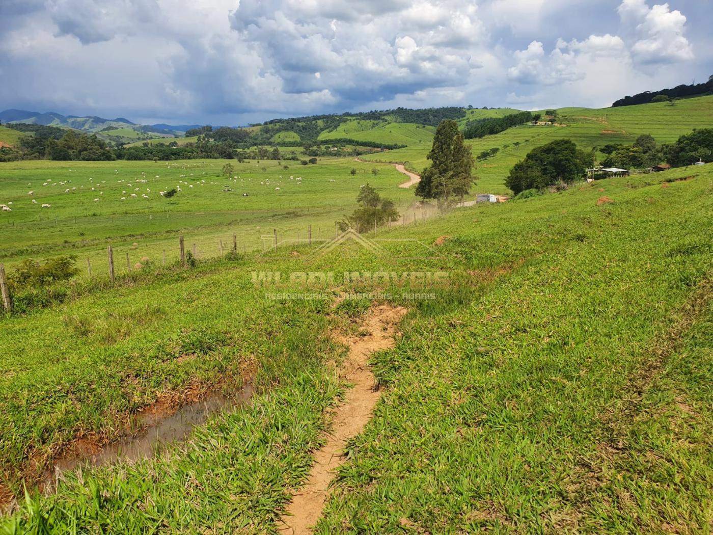 Fazenda à venda, 224m² - Foto 3