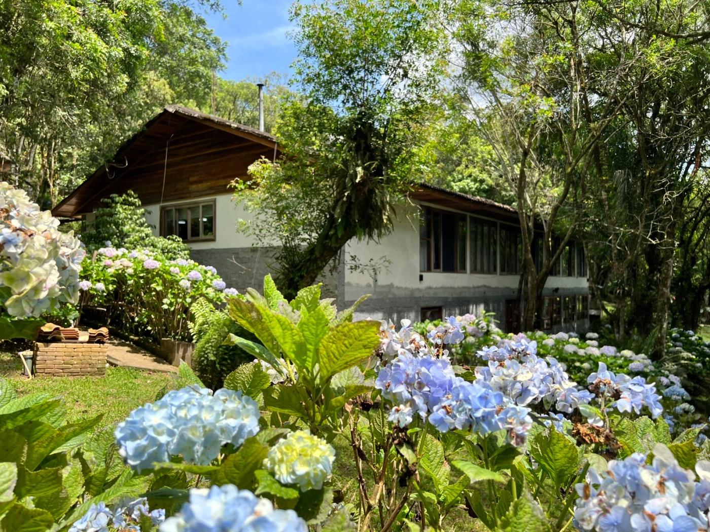 Fazenda à venda, 5050m² - Foto 5