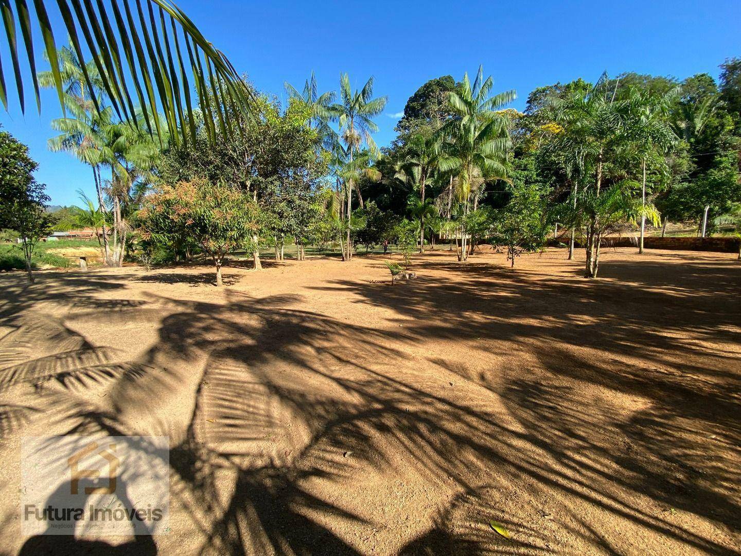 Chácara à venda com 3 quartos, 6000M2 - Foto 19