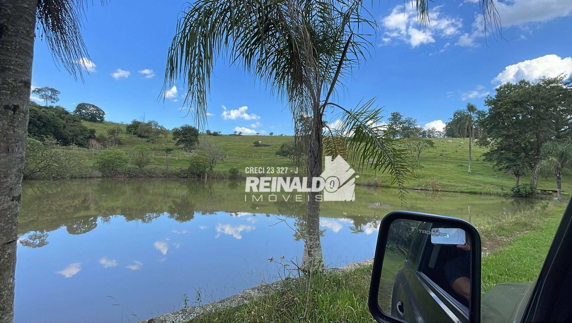 Fazenda à venda com 6 quartos, 950m² - Foto 32