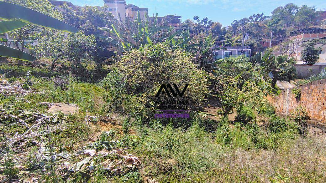 Chácara, 4 quartos, 2000 m² - Foto 6