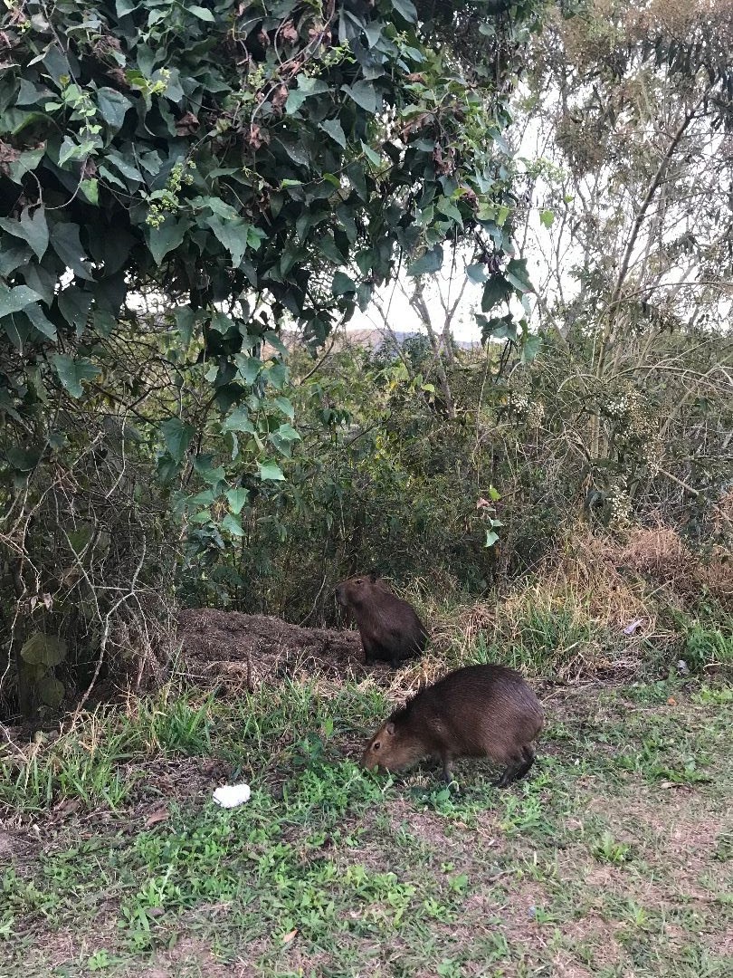 Loteamento e Condomínio à venda, 1080M2 - Foto 8