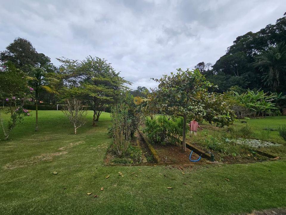 Terreno à venda, 3000m² - Foto 4