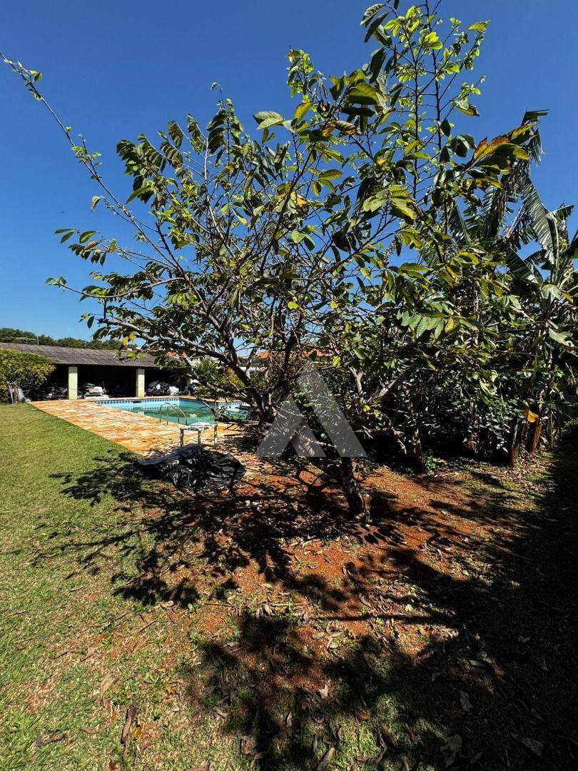 Casa, 5 quartos, 470 m² - Foto 3