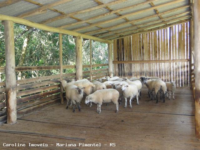 Fazenda à venda com 5 quartos, 625000m² - Foto 17