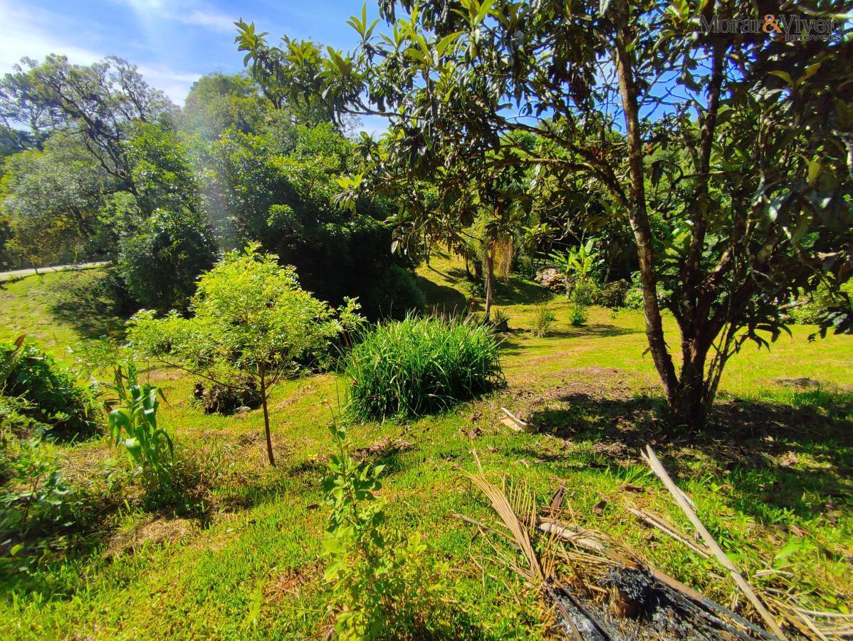 Chácara, 2 quartos, 7724 m² - Foto 11