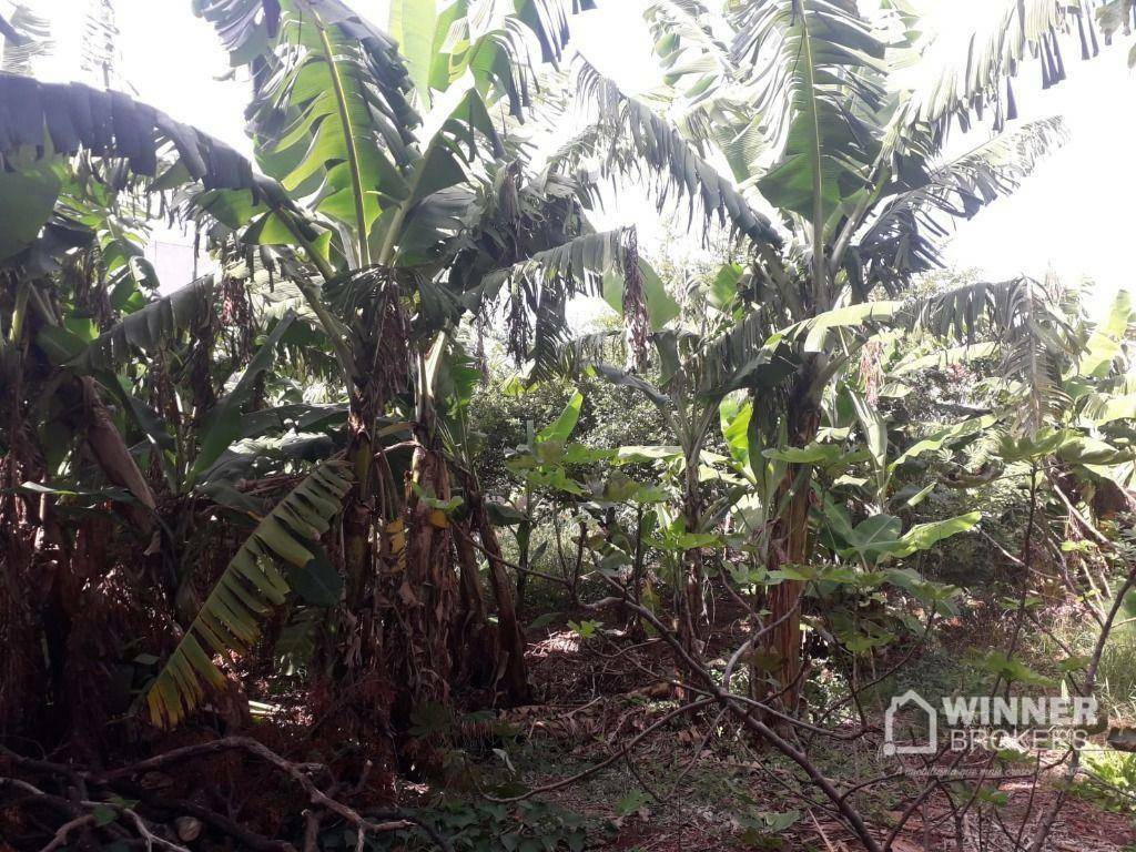 Terreno, 1000 m² - Foto 2