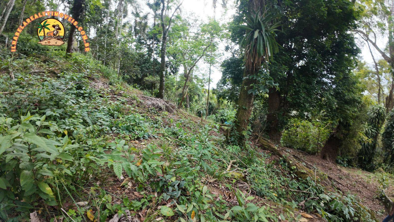 Terreno, 1 hectares - Foto 4