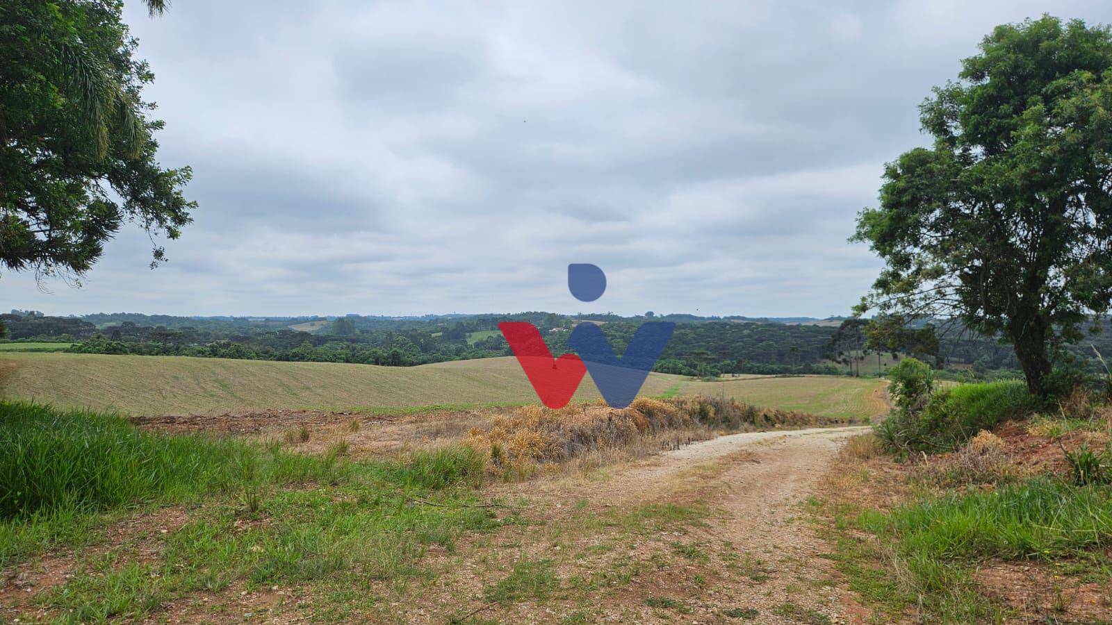 Fazenda à venda com 3 quartos, 1694000M2 - Foto 3