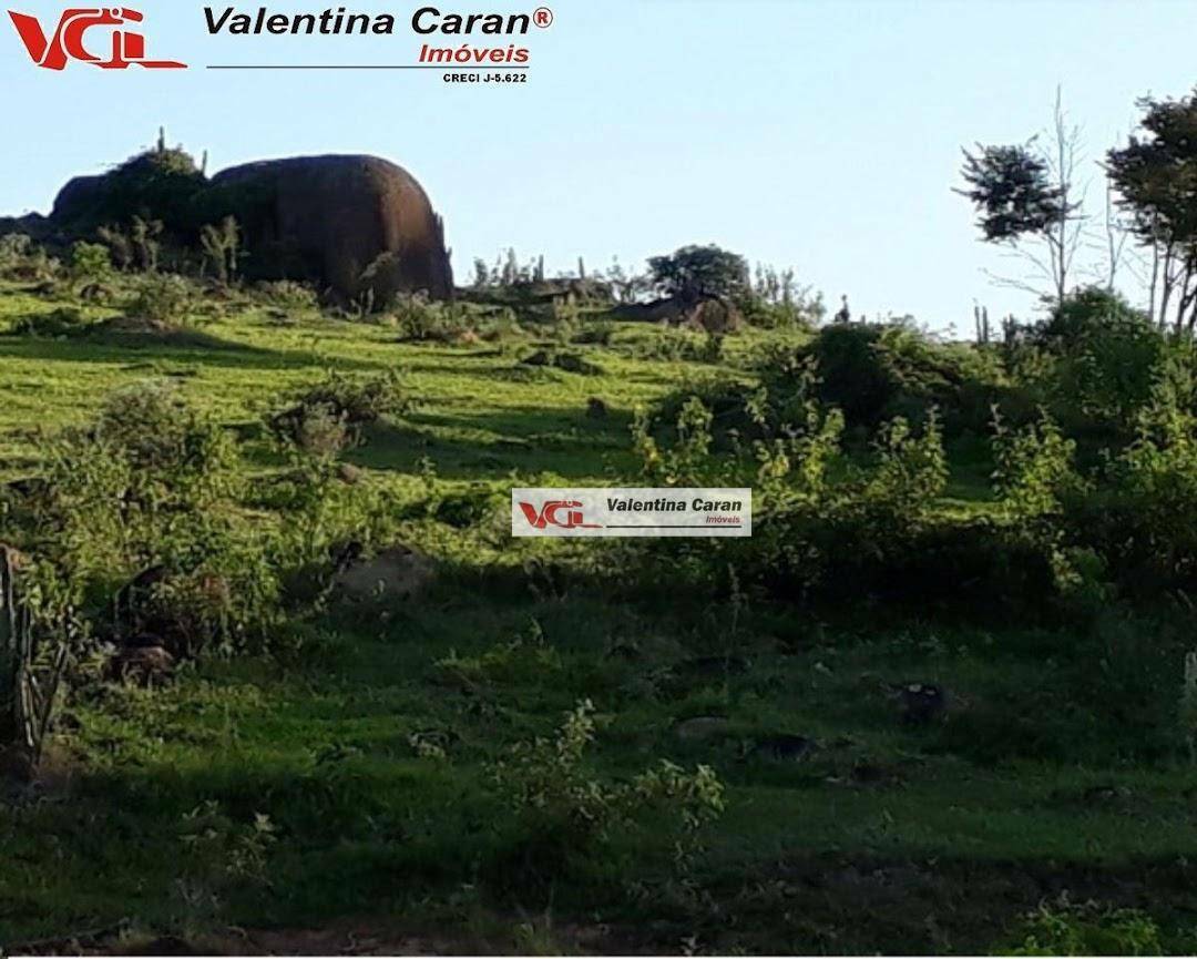 Fazenda à venda com 4 quartos, 1839200M2 - Foto 14