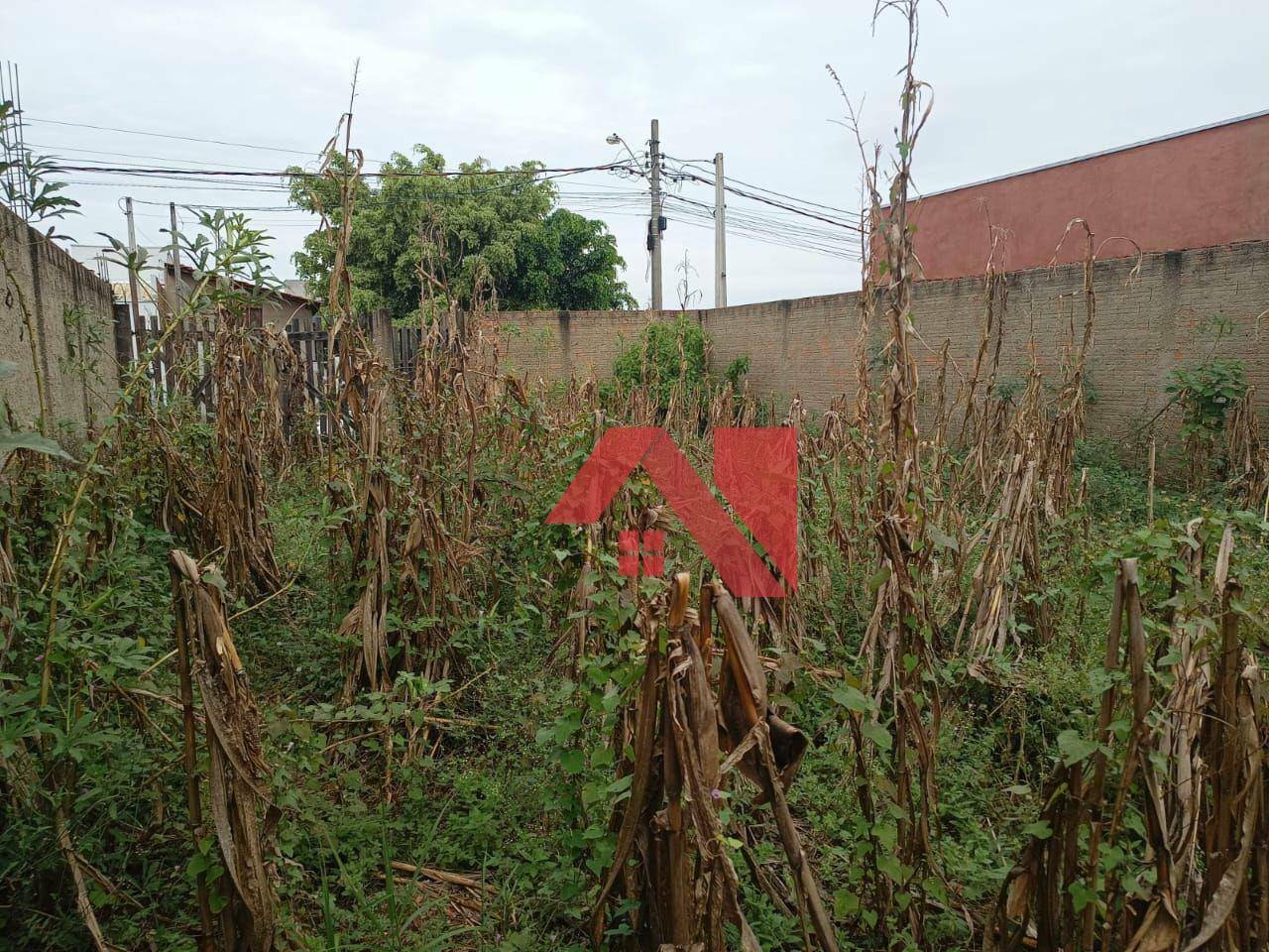 Terreno à venda, 200M2 - Foto 3