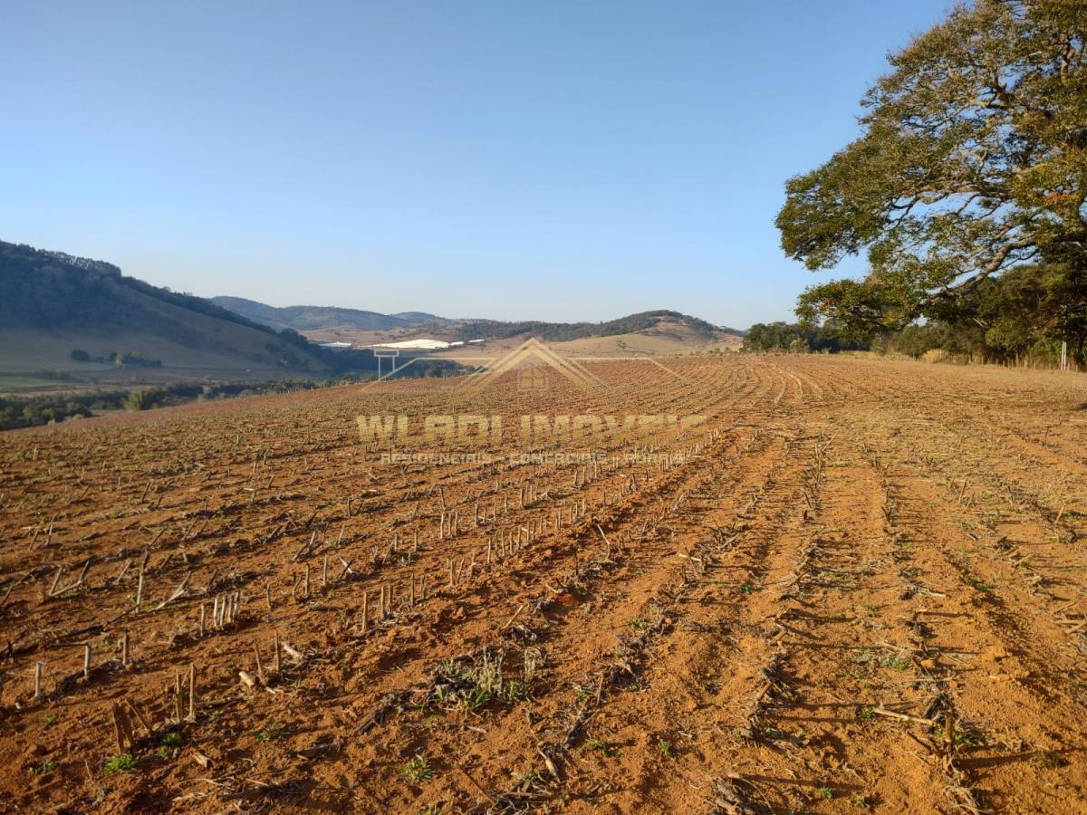 Fazenda à venda, 4m² - Foto 2