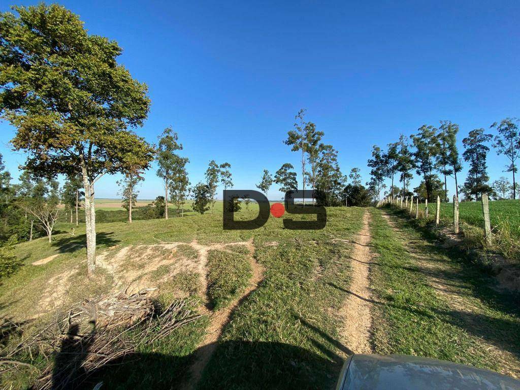 Sítio à venda, 300000M2 - Foto 6