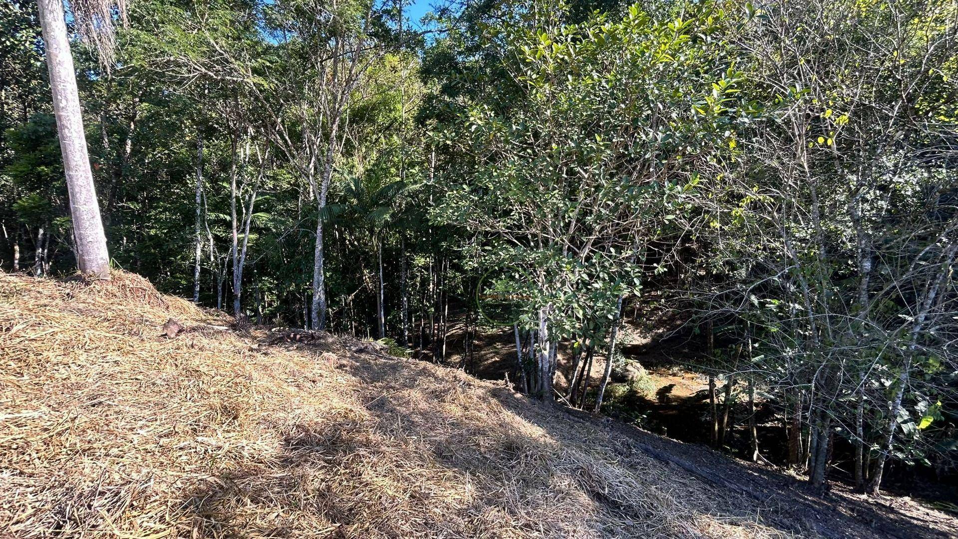 Terreno, 10000 m² - Foto 20