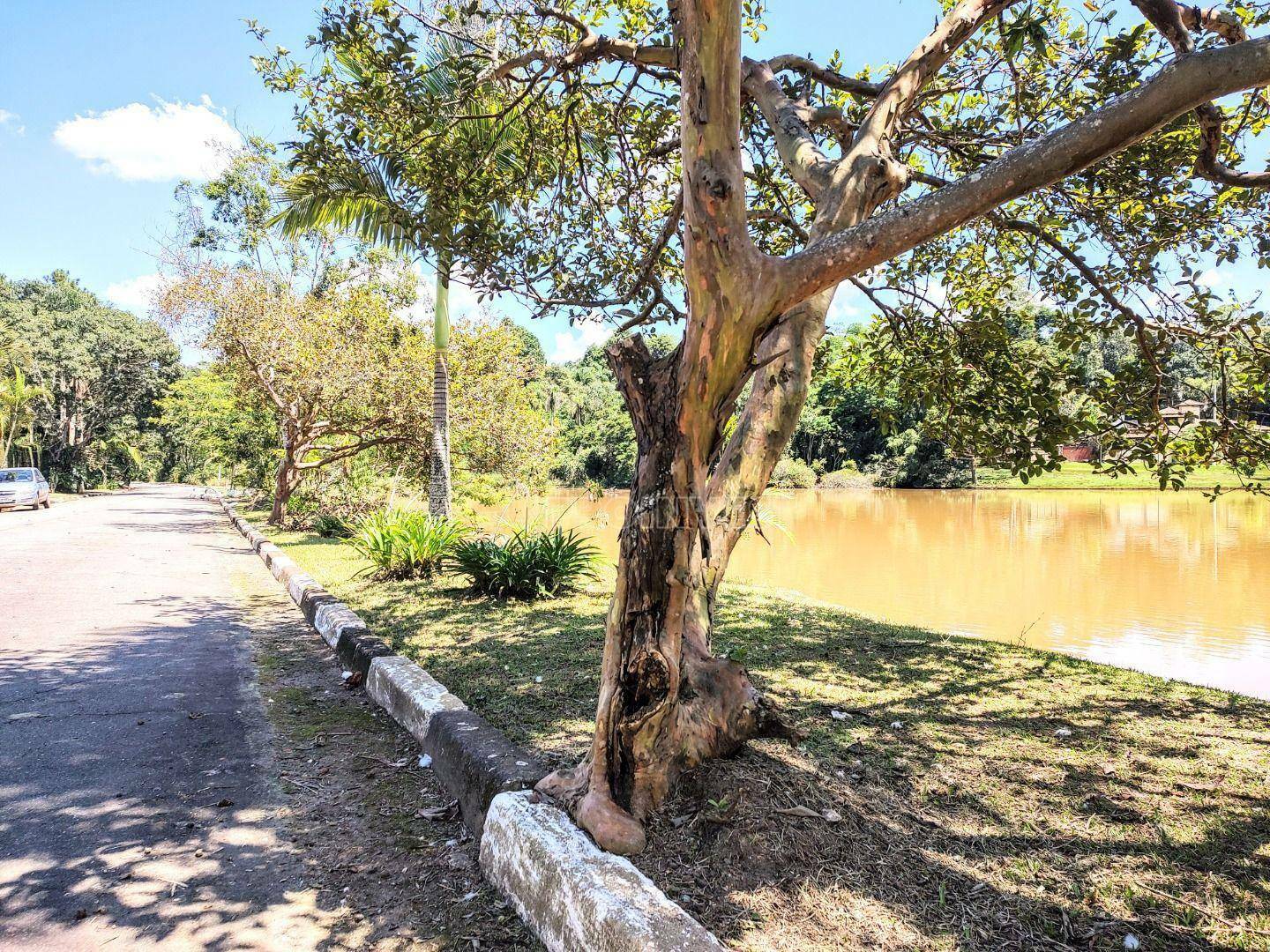 Loteamento e Condomínio à venda, 1290M2 - Foto 6