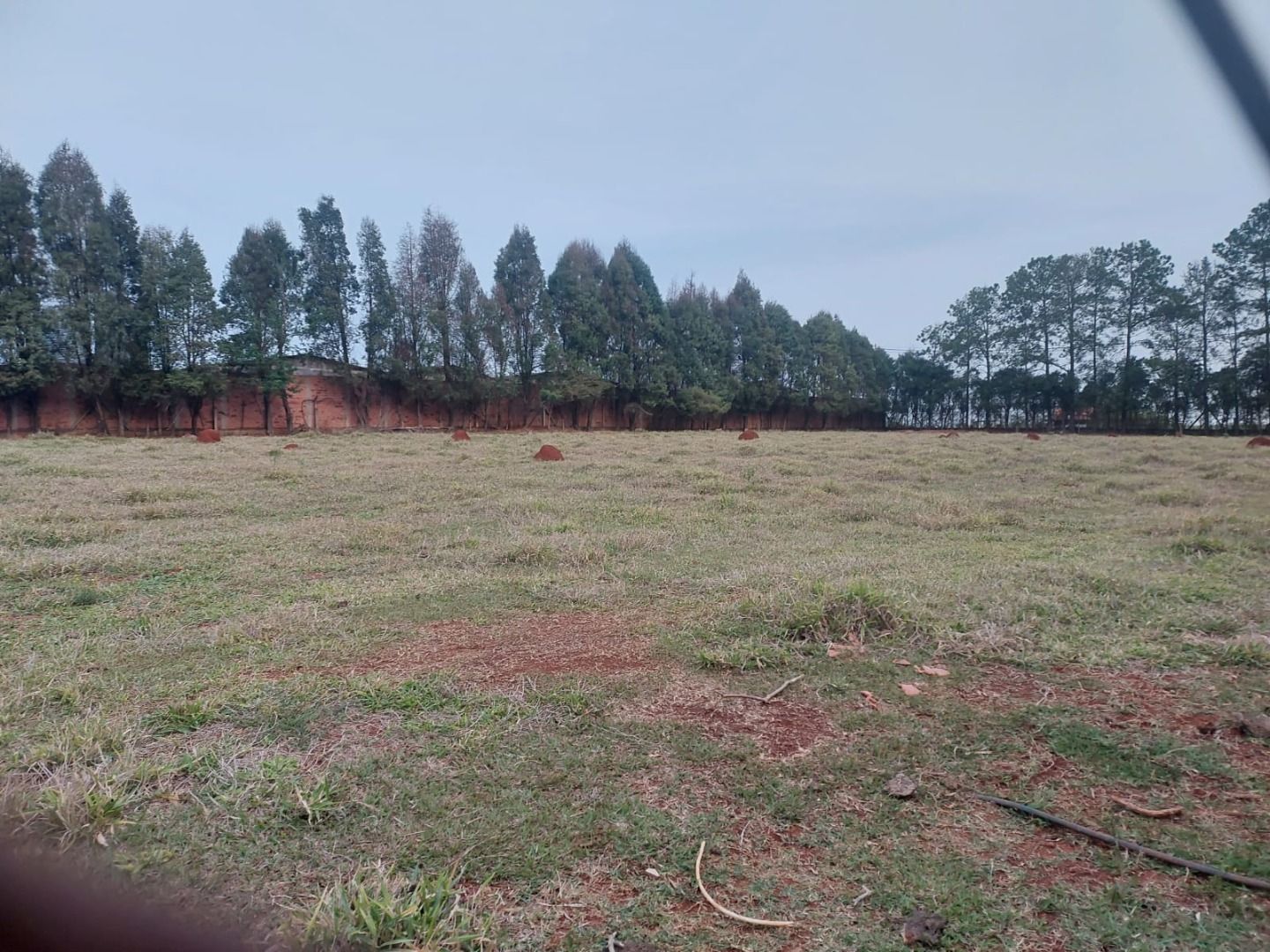 Haras e Área Rural Padrão à venda com 3 quartos, 96800M2 - Foto 19