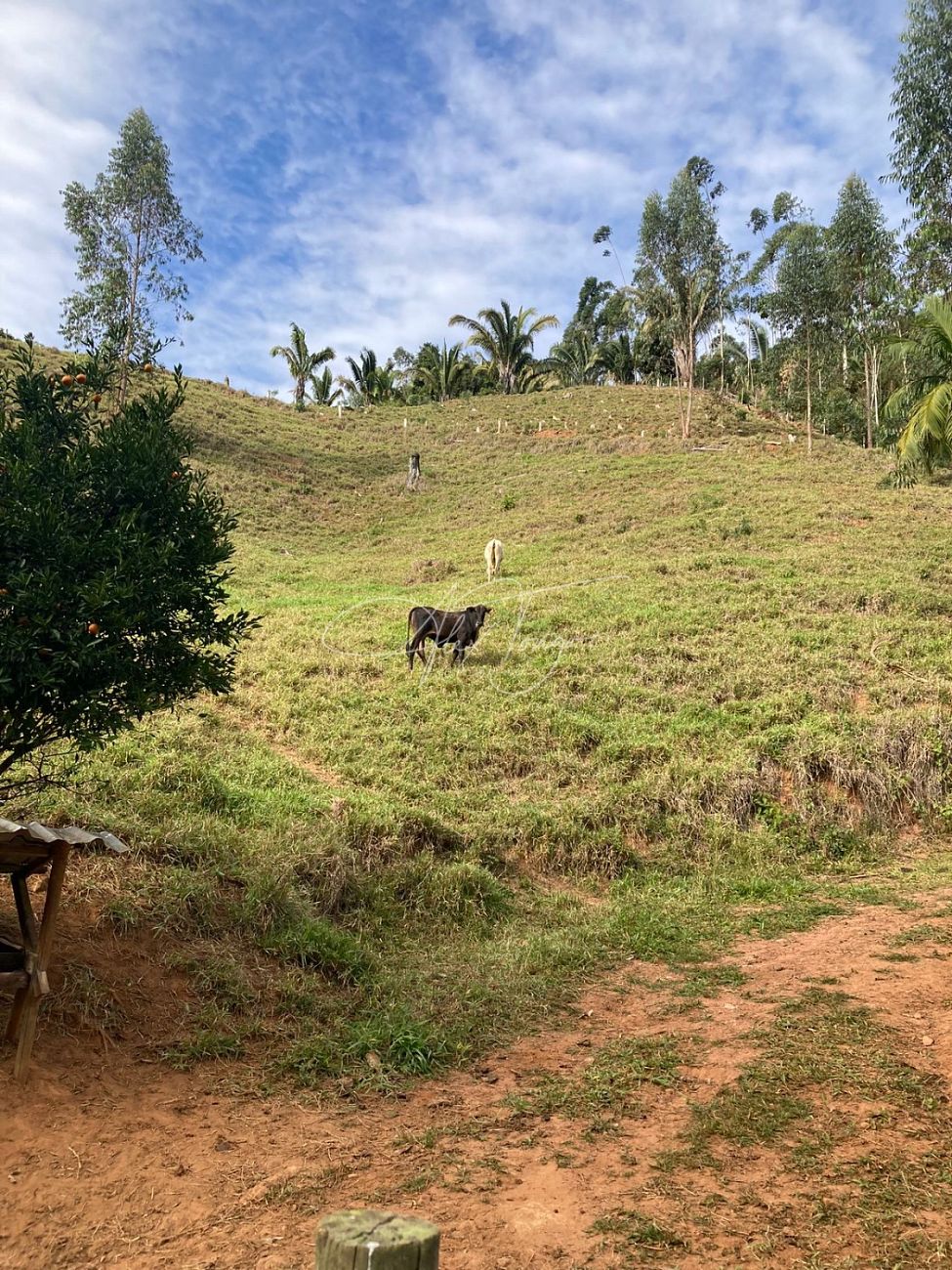 Terreno à venda, 48758m² - Foto 17