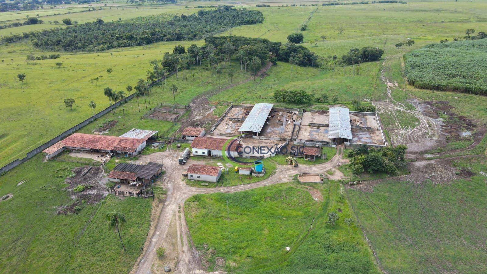 Fazenda à venda com 7 quartos, 968000M2 - Foto 11