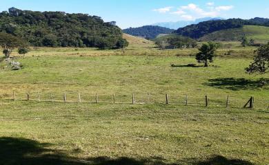 Fazenda à venda com 2 quartos, 270000m² - Foto 20