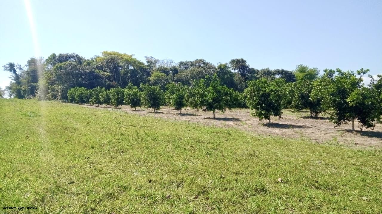 Fazenda à venda, 500000m² - Foto 14