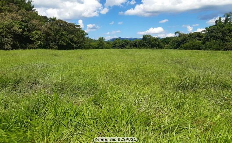 Fazenda à venda com 3 quartos, 200000m² - Foto 13