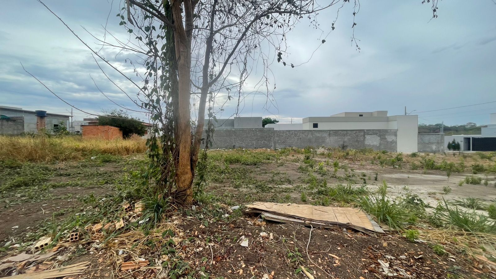 Terreno à venda, 275M2 - Foto 2