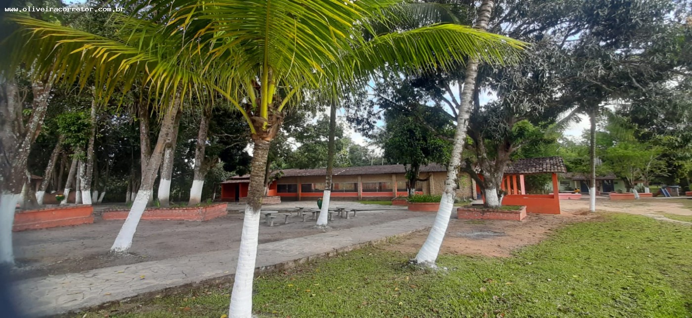 Chácara à venda com 50 quartos, 40000m² - Foto 31