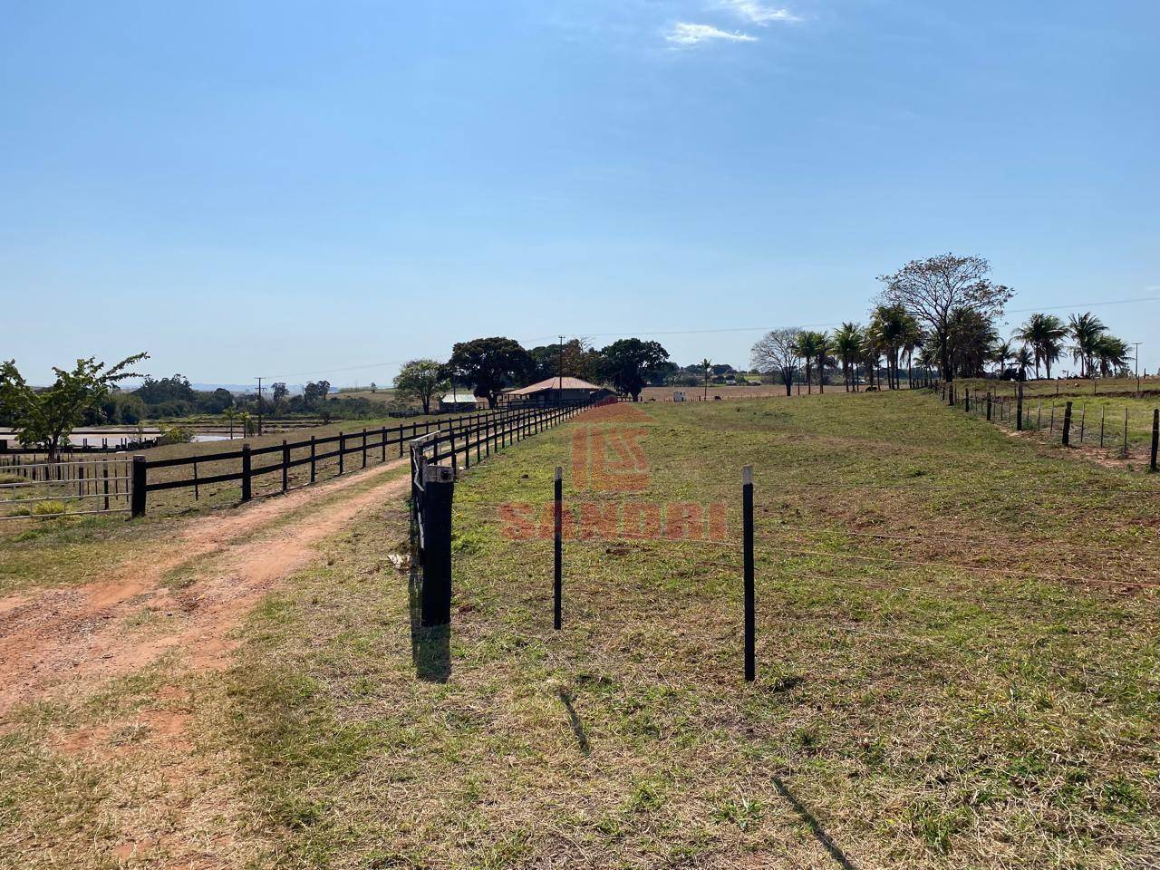 Sítio, 2 hectares - Foto 44