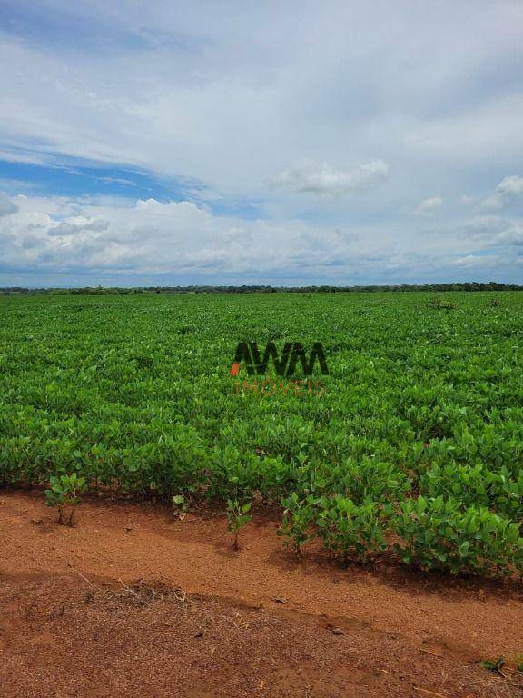 Fazenda à venda, 5130400M2 - Foto 6