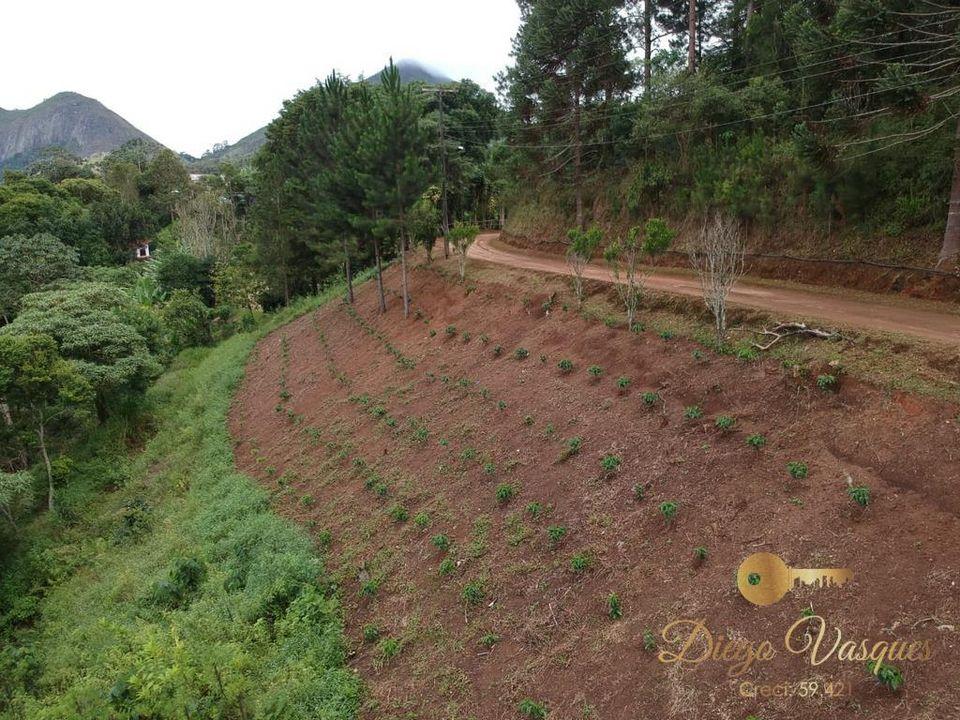 Fazenda à venda com 3 quartos, 280000m² - Foto 20