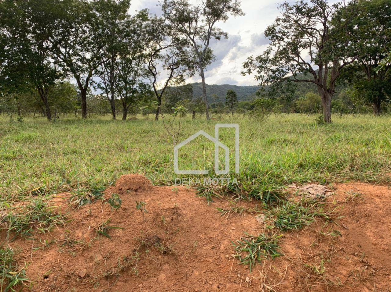 Fazenda à venda com 3 quartos, 21217700000M2 - Foto 7