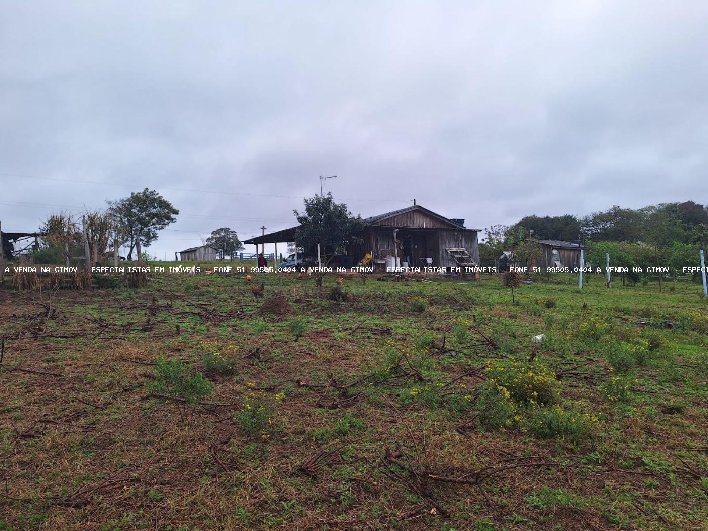 Fazenda à venda, 10000m² - Foto 5