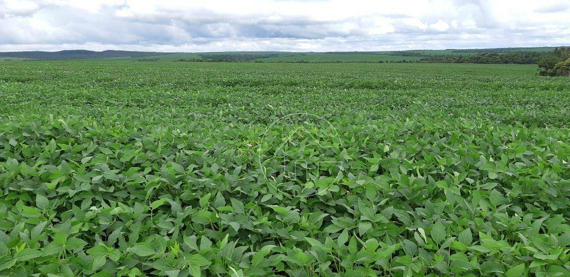 Fazenda à venda, 170000000M2 - Foto 1