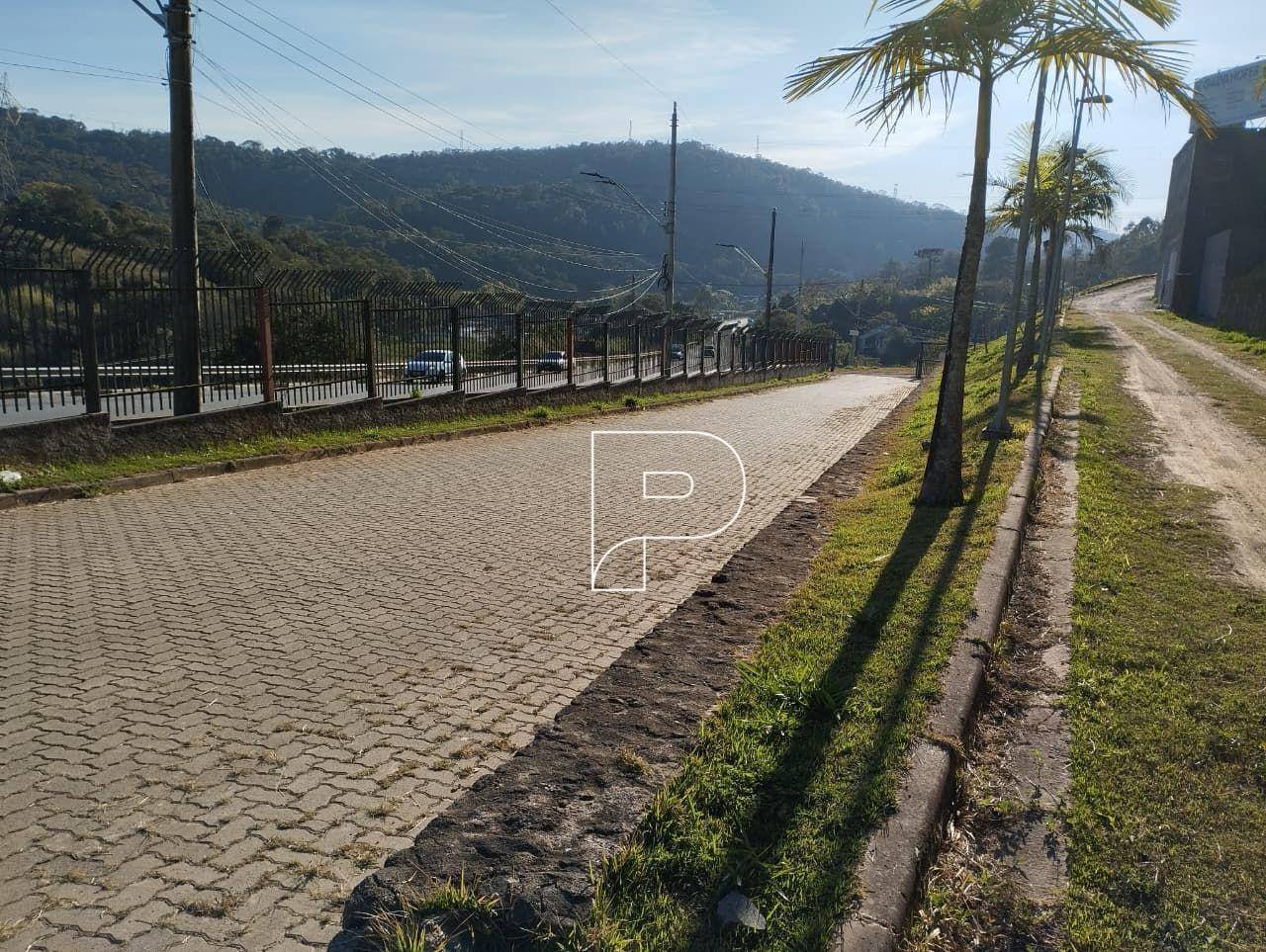 Depósito-Galpão, 6000 m² - Foto 4
