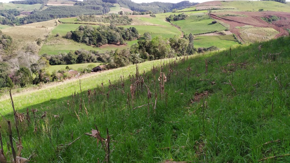 Fazenda à venda com 4 quartos, 12m² - Foto 18