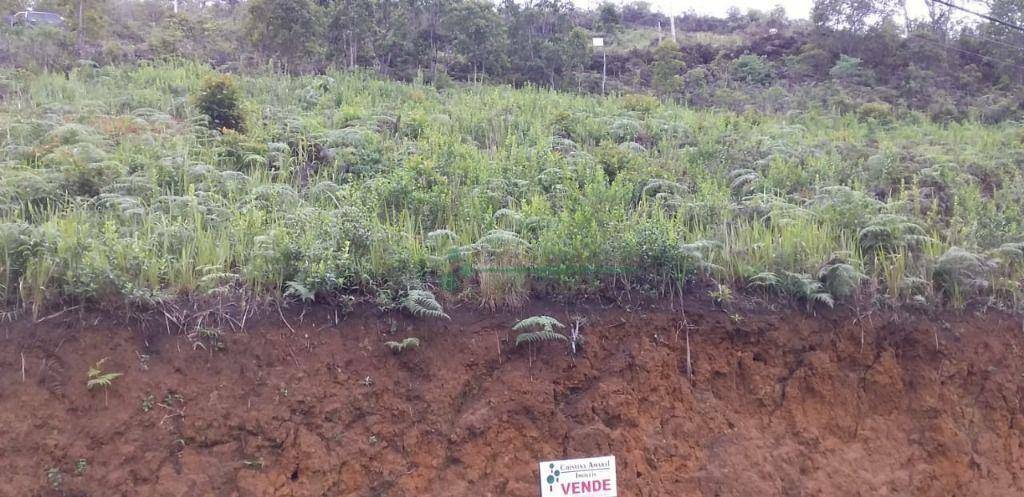 Loteamento e Condomínio à venda, 322M2 - Foto 2