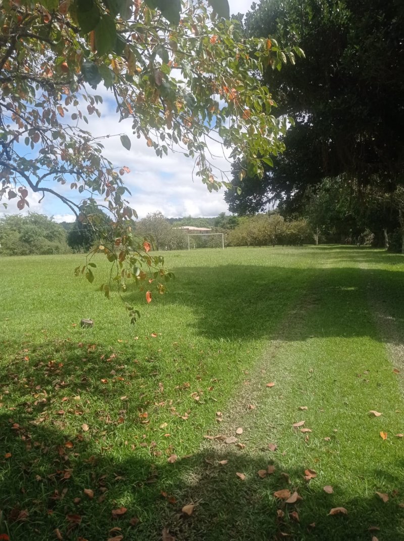 Fazenda à venda com 6 quartos, 500m² - Foto 21