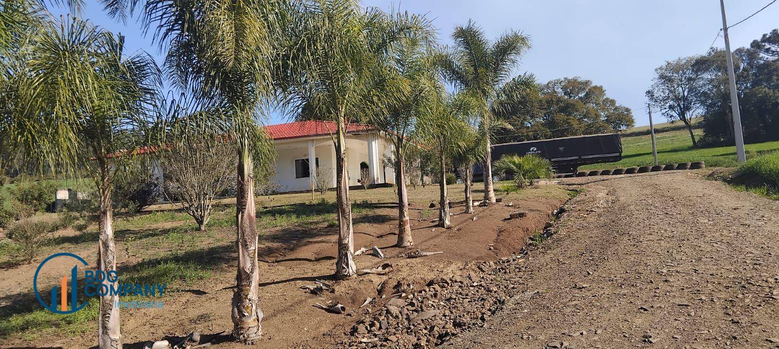 Chácara, 2 quartos, 5 hectares - Foto 3