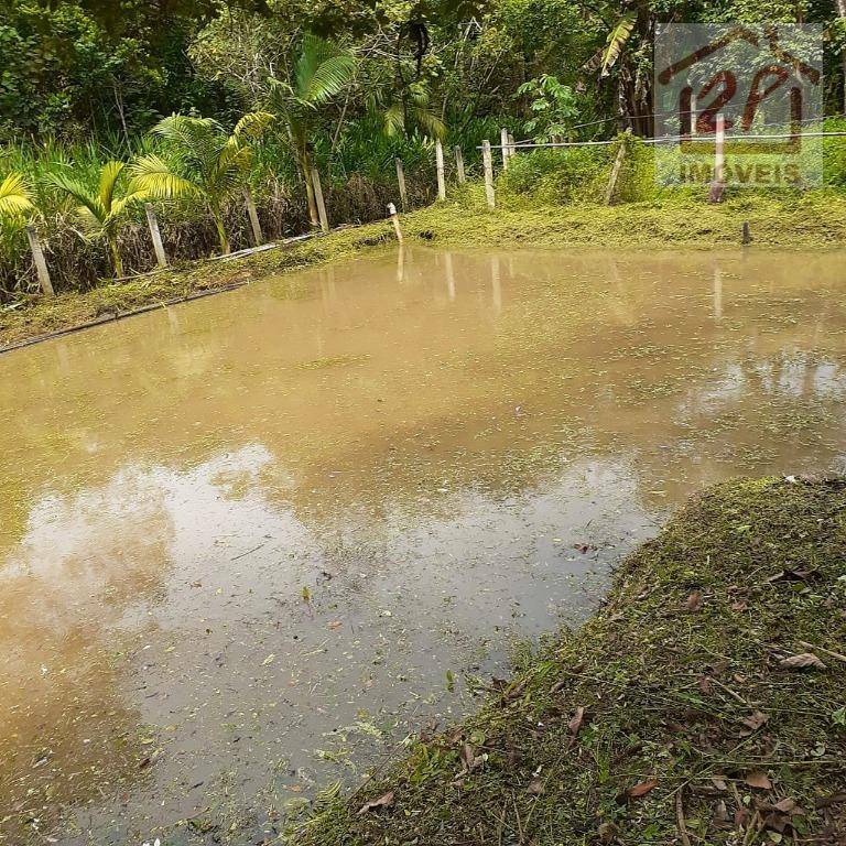 Chácara à venda com 6 quartos, 2000M2 - Foto 1