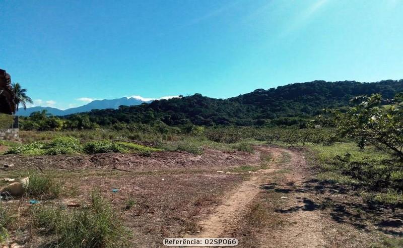 Fazenda à venda com 4 quartos, 120000m² - Foto 16