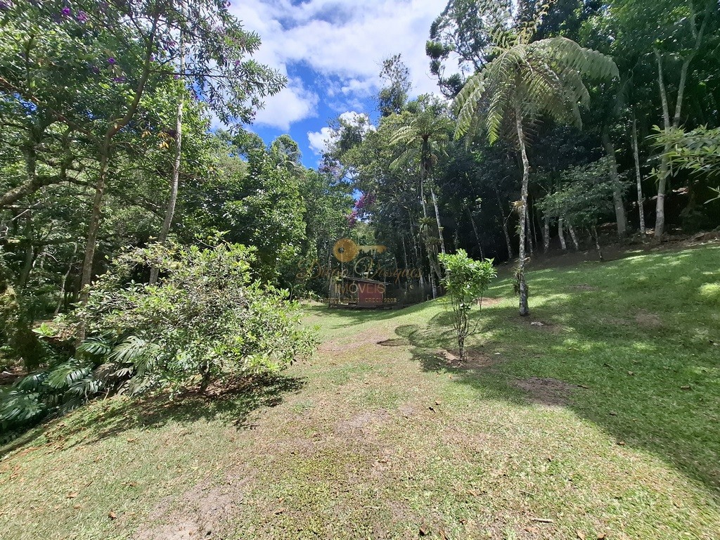 Casa à venda com 7 quartos, 3700m² - Foto 55