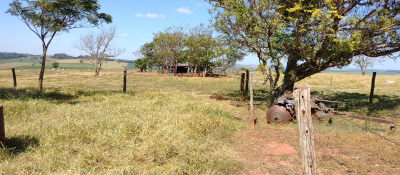 Fazenda, 108 hectares - Foto 6