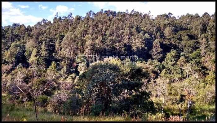 Fazenda à venda, 500m² - Foto 9