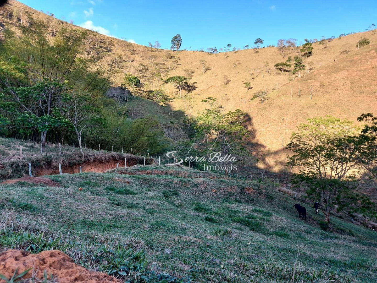 Fazenda à venda com 3 quartos, 580800M2 - Foto 24