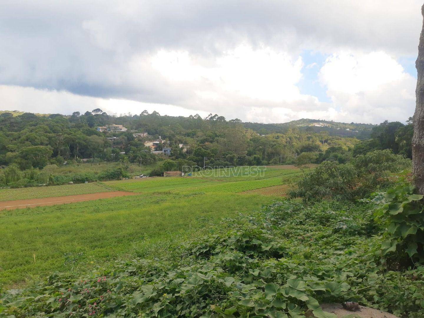 Terreno à venda, 86000M2 - Foto 10