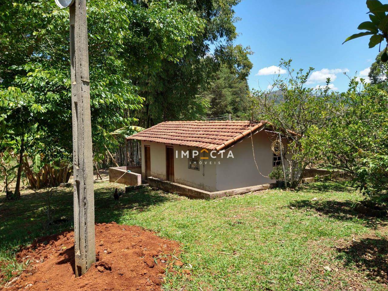 Sítio à venda com 3 quartos, 58000M2 - Foto 115