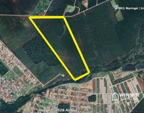 Sítio, 27 hectares - Foto 3