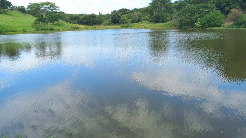Fazenda à venda, 90m² - Foto 3