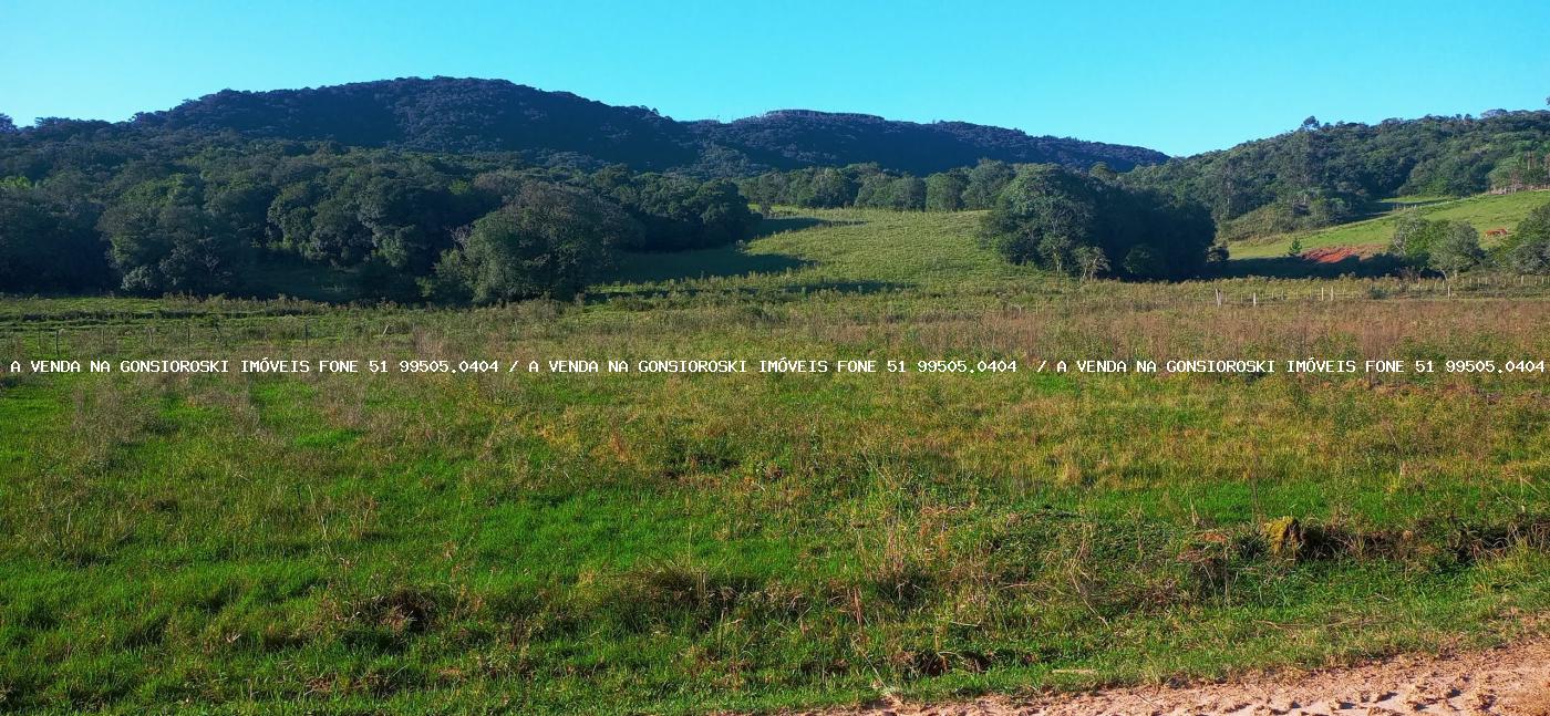 Fazenda à venda com 3 quartos, 55000m² - Foto 13