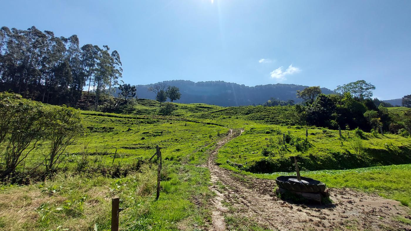 Fazenda à venda com 4 quartos, 101500m² - Foto 22